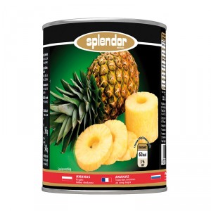 Splendor-Ananas-Plastry-580-A11